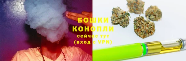 сатива Костерёво