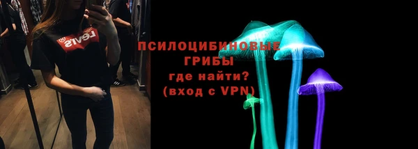 гидропоника Коряжма