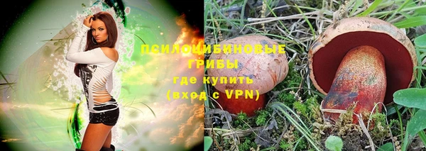 гидропоника Коряжма