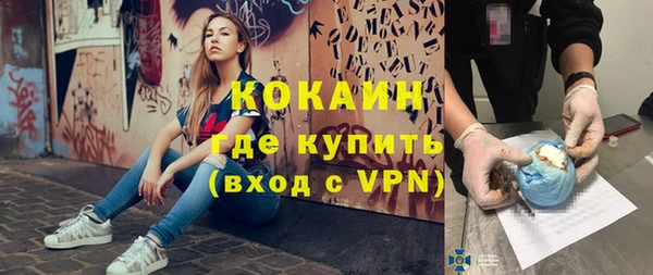 сатива Костерёво