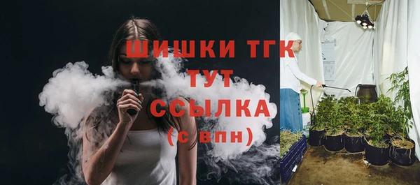 гидропоника Коряжма