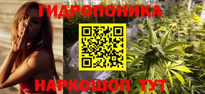 эйфоретик Бийск