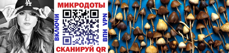 Псилоцибиновые грибы Psilocybe  Унеча 