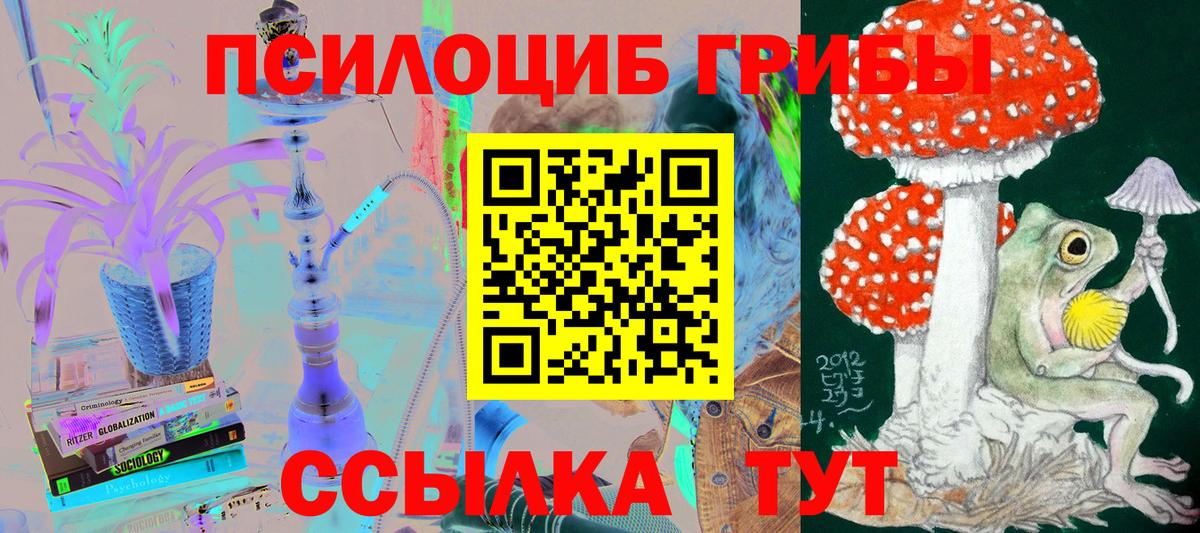 Галлюциногенные грибы GOLDEN TEACHER  Галлюциногенные грибы мухоморы  Унеча  наркотики  Вход с VPN 